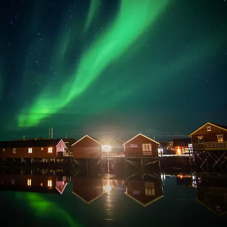 Rindebua Stamsund
